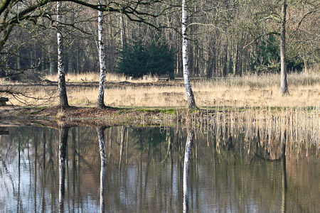 Fotograaf: John Roemen