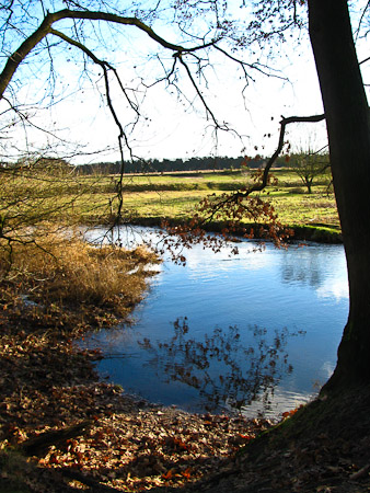 Fotograaf: Willemiek van Deutekom