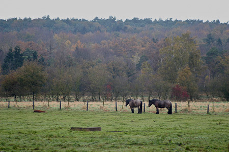 Fotograaf: John Roemen