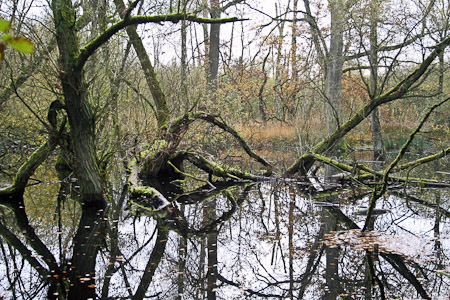 Fotograaf: John Roemen