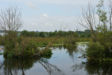 Fotograaf: Wiel Derkx