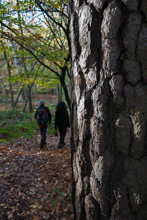 Fotograaf: Ruud Snijders