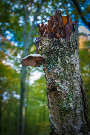 Fotograaf: Ruud Snijders