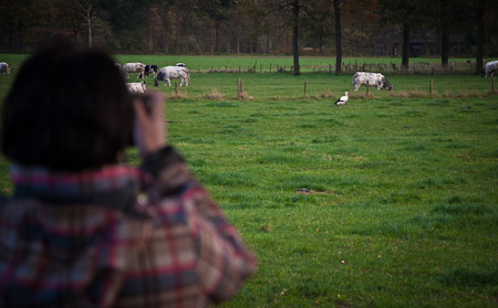 Fotograaf: Ruud Snijders