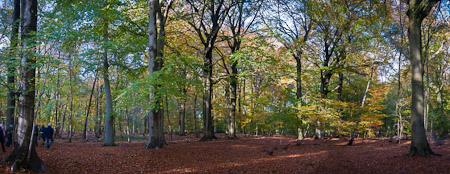 Fotograaf: Ruud Snijders