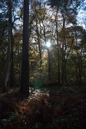 Fotograaf: Ruud Snijders