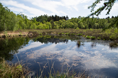 Fotograaf: Laurent Vanderheijden