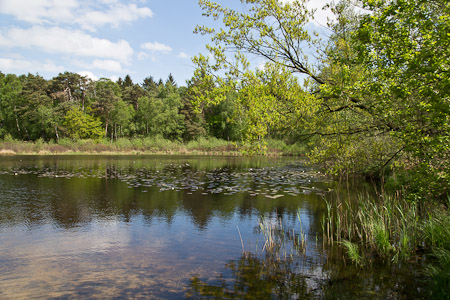 Fotograaf: Laurent Vanderheijden