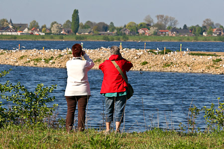 Fotograaf: John Roemen