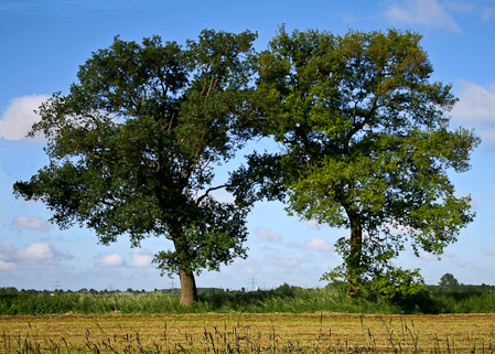 Fotograaf: John Roemen