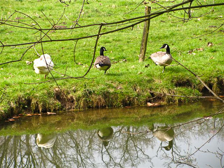 Fotograaf: Astrid Janissen