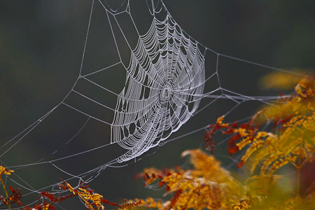 Fotograaf: John Roemen