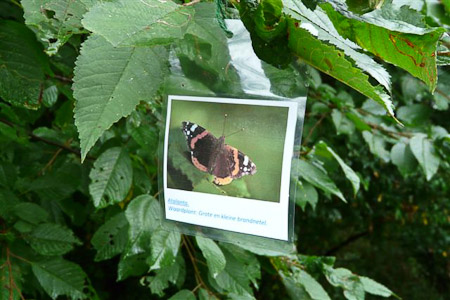 Fotograaf: Astrid Janissen