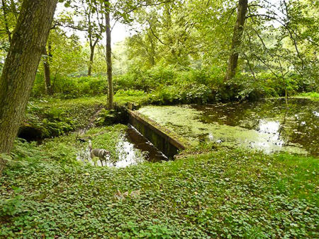 Fotograaf: Astrid Janissen