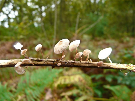 Fotograaf: Astrid Janissen