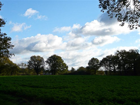 Fotograaf: Astrid Janissen