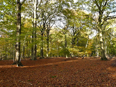 Fotograaf: Astrid Janissen