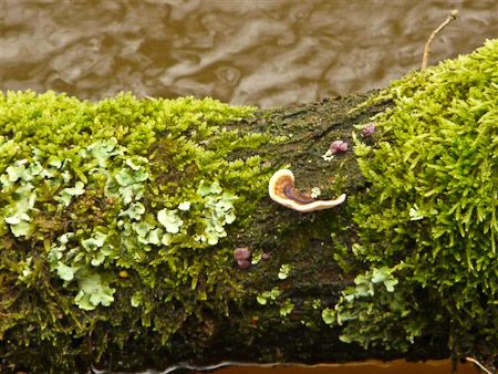 Fotograaf: Astrid Janissen