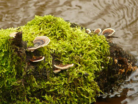 Fotograaf: Astrid Janissen