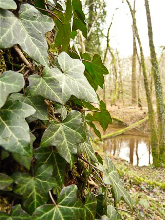 Fotograaf: Astrid Janissen