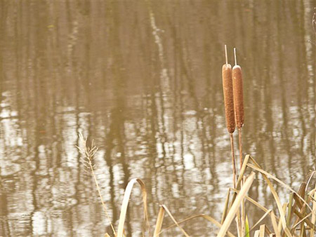 Fotograaf: Astrid Janissen