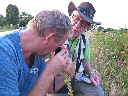 Fotograaf: Hermien Hendrikx