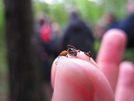 Fotograaf: Hermien Hendrikx