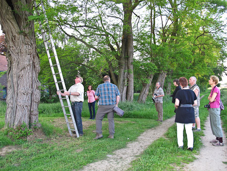 Fotograaf: Hermien Hendrikx