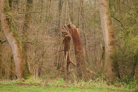 Fotograaf: Frans Stultjens