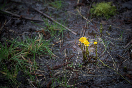 Fotograaf: Ruud Snijders