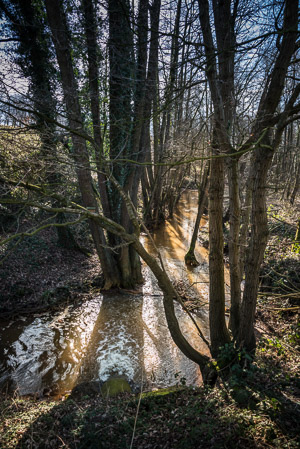 Fotograaf: Ruud Snijders