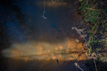 Fotograaf: Ruud Snijders