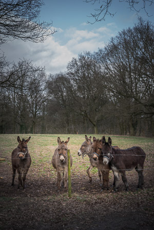 Fotograaf: Ruud Snijders