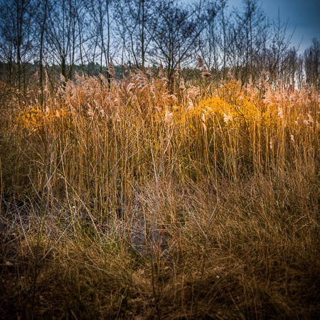 Fotograaf: Ruud Snijders