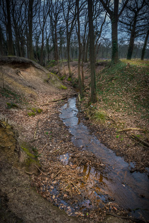 Fotograaf: Ruud Snijders