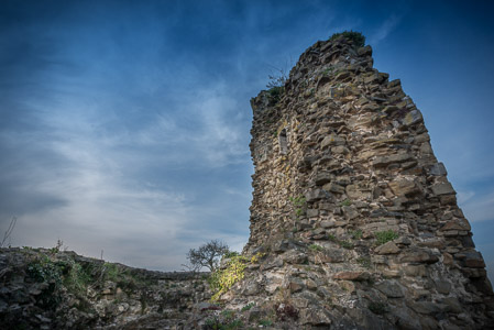 Fotograaf: Ruud Snijders