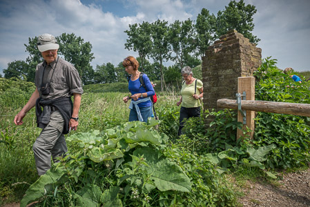 Fotograaf: Ruud Snijders