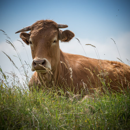 Fotograaf: Ruud Snijders