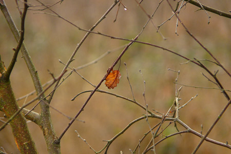 Fotograaf: Astrid Janissen