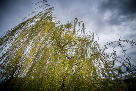 Fotograaf: Ruud Snijders