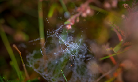 Fotograaf: Ruud Snijders