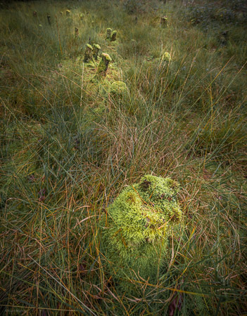 Fotograaf: Ruud Snijders