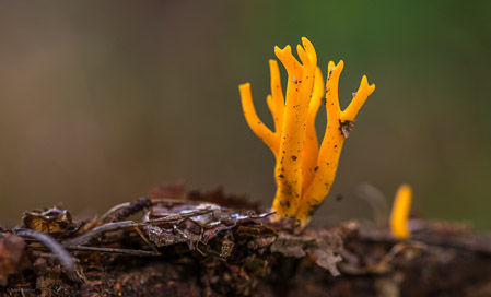 Fotograaf: Ruud Snijders