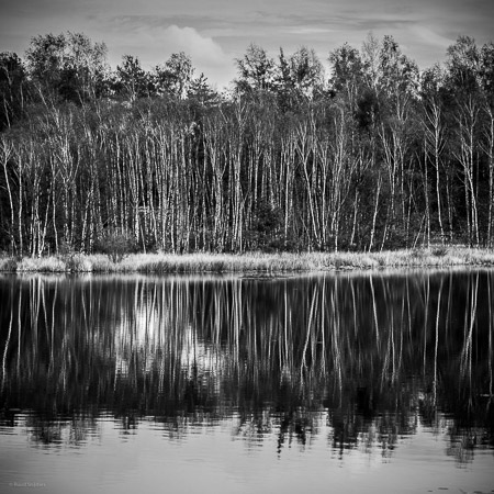 Fotograaf: Ruud Snijders