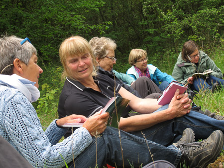 Zinkviooltjes langs de Gueule